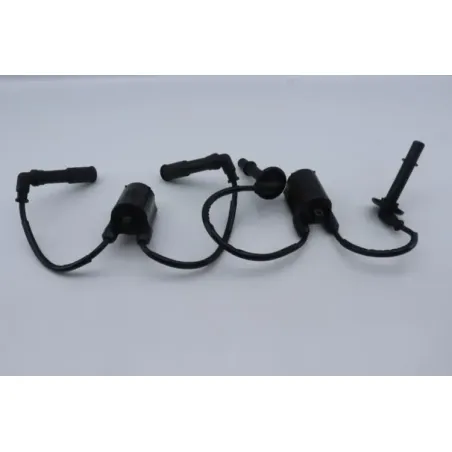 Bobine allumage HONDA CB 1300 2003 - 2005