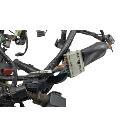 Faisceau electrique HONDA CBR 1000 RR FIREBLADE 2006 - 2007