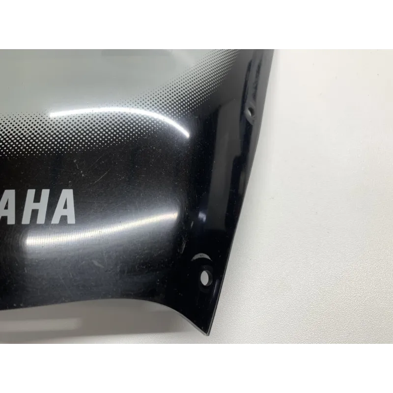 Bulle YAMAHA TDM 900 2007-2010 ABS