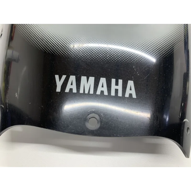 Bulle YAMAHA TDM 900 2007-2010 ABS