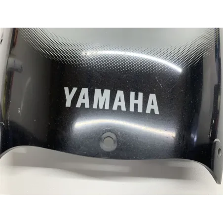 Bulle YAMAHA TDM 900 2007-2010 ABS