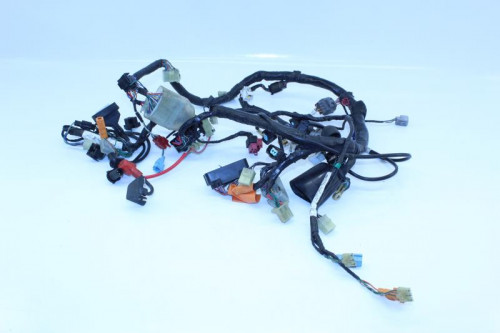Faisceau electrique HONDA CBR 900 RR 2000 - 2001 ( 929 CC )