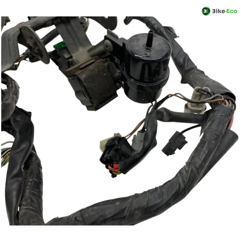 Faisceau electrique SUZUKI TL 1000 S 1997-2001