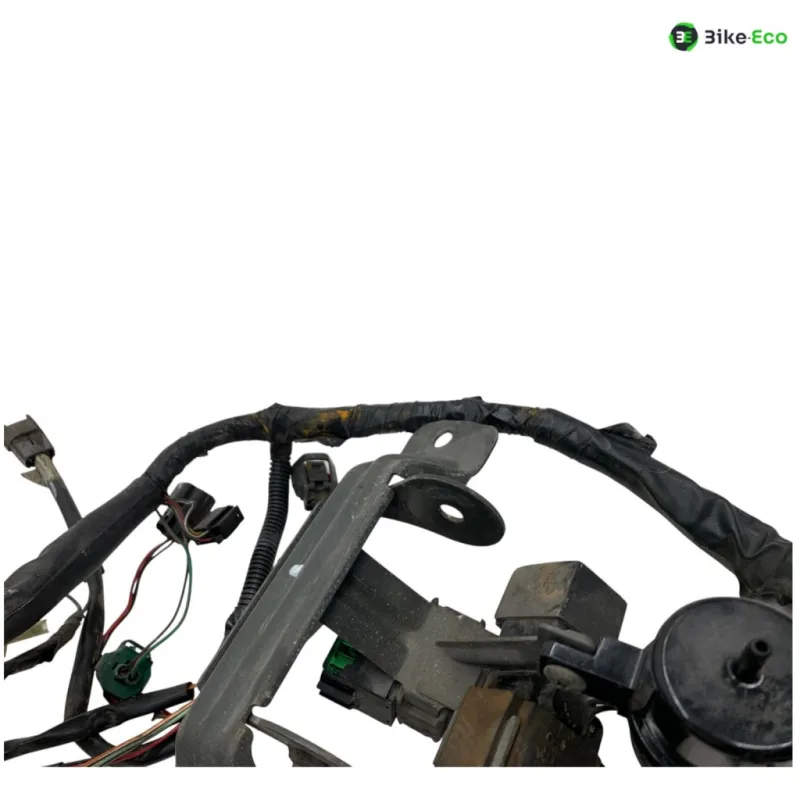 Faisceau electrique SUZUKI TL 1000 S 1997-2001