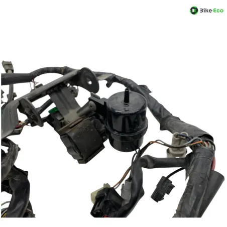Faisceau electrique SUZUKI TL 1000 S 1997-2001