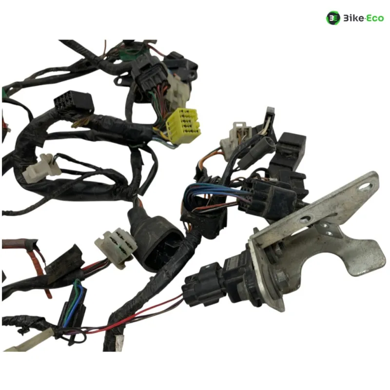 Faisceau electrique SUZUKI TL 1000 S 1997-2001