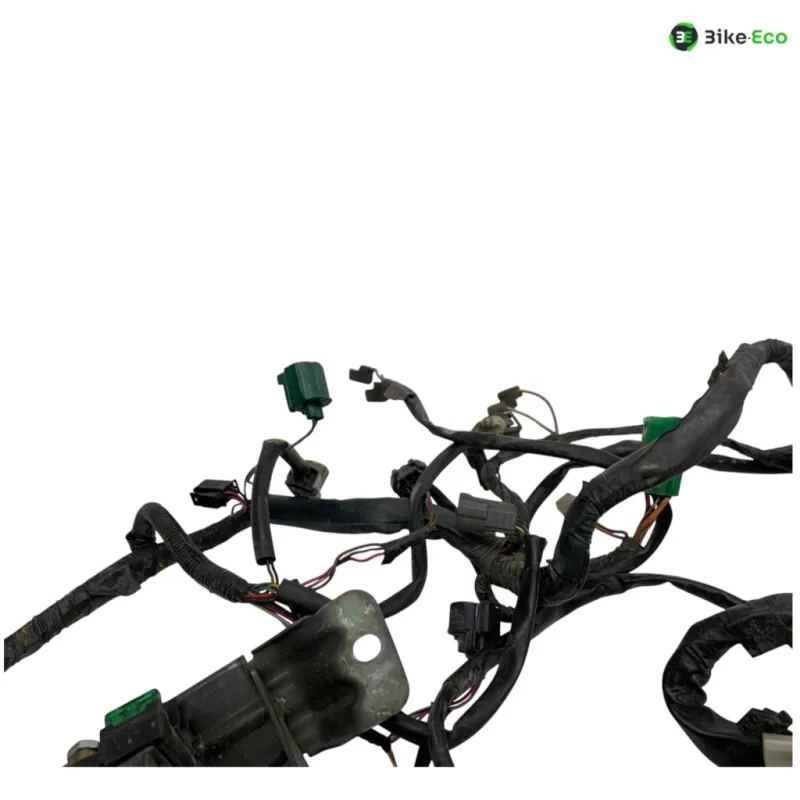 Faisceau electrique SUZUKI TL 1000 S 1997-2001