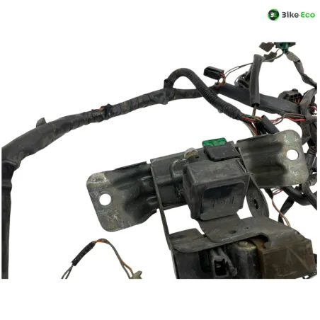 Faisceau electrique SUZUKI TL 1000 S 1997-2001