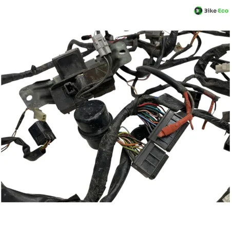 Faisceau electrique SUZUKI TL 1000 S 1997-2001