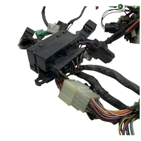 Faisceau electrique SUZUKI TL 1000 S 1997-2001