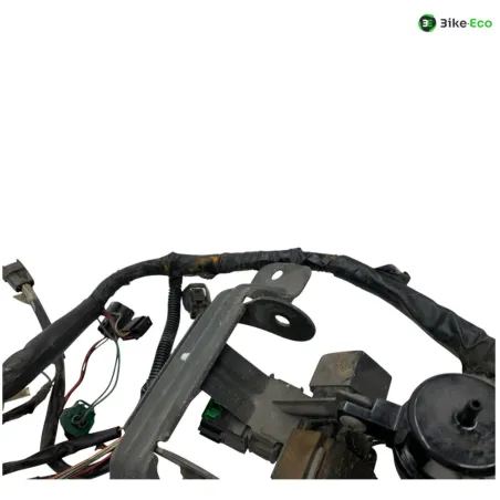 Faisceau electrique SUZUKI TL 1000 S 1997-2001