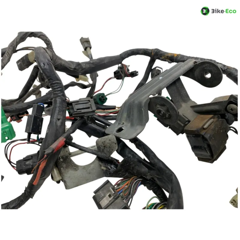 Faisceau electrique SUZUKI TL 1000 S 1997-2001