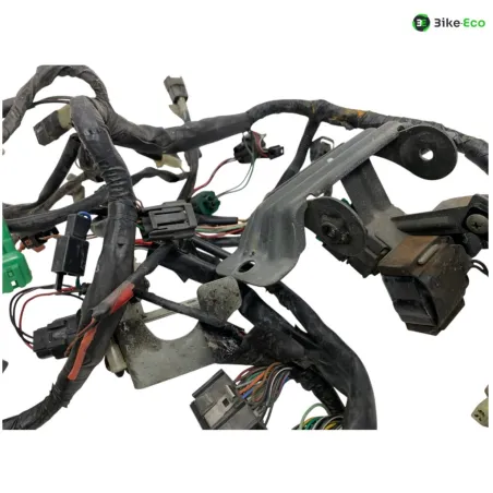 Faisceau electrique SUZUKI TL 1000 S 1997-2001