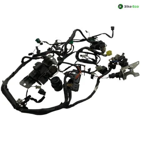 Faisceau electrique SUZUKI TL 1000 S 1997-2001