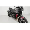 TRIUMPH TRIDENT 660