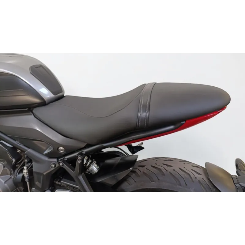 TRIUMPH TRIDENT 660