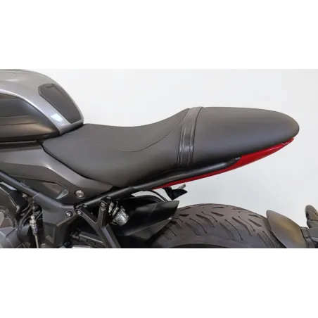 TRIUMPH TRIDENT 660