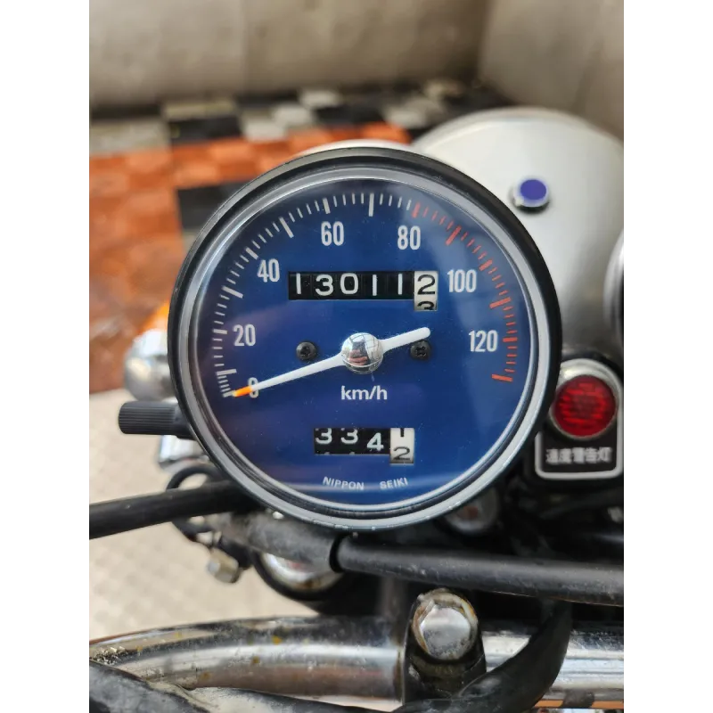 HONDA MT 250 ELSINORE
