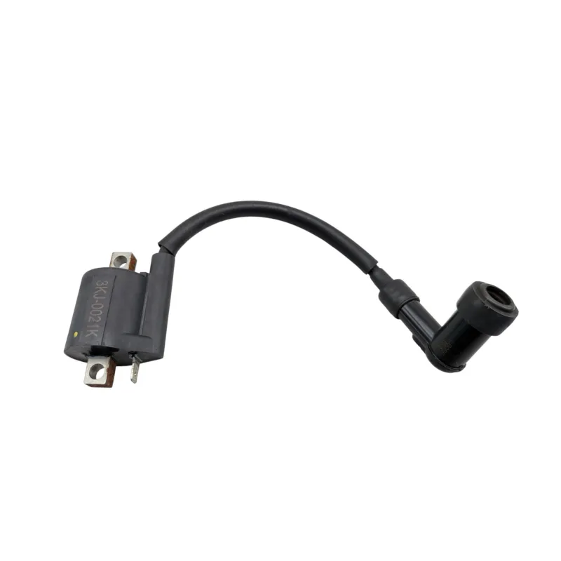 Bobine allumage RIEJU MRT 50 PRO 2022 - 2024