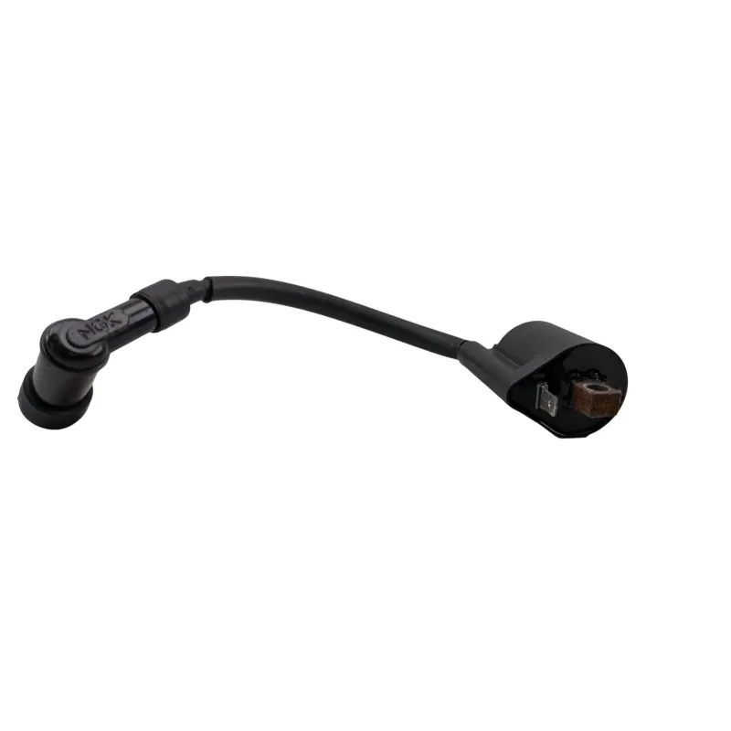 Bobine allumage RIEJU MRT 50 PRO 2022 - 2024