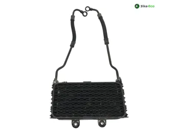Radiateur huile SUZUKI GSF 600 1995-1999 BANDIT S