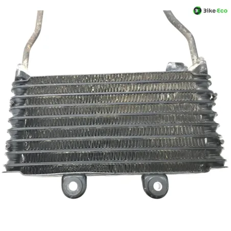 Radiateur huile SUZUKI GSF 600 1995-1999 BANDIT S