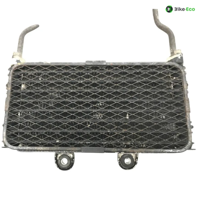 Radiateur huile SUZUKI GSF 600 1995-1999 BANDIT S
