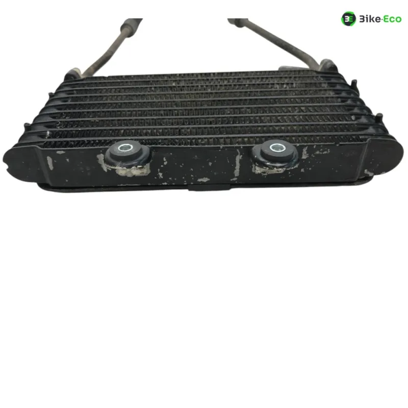 Radiateur huile SUZUKI GSF 600 1995-1999 BANDIT S