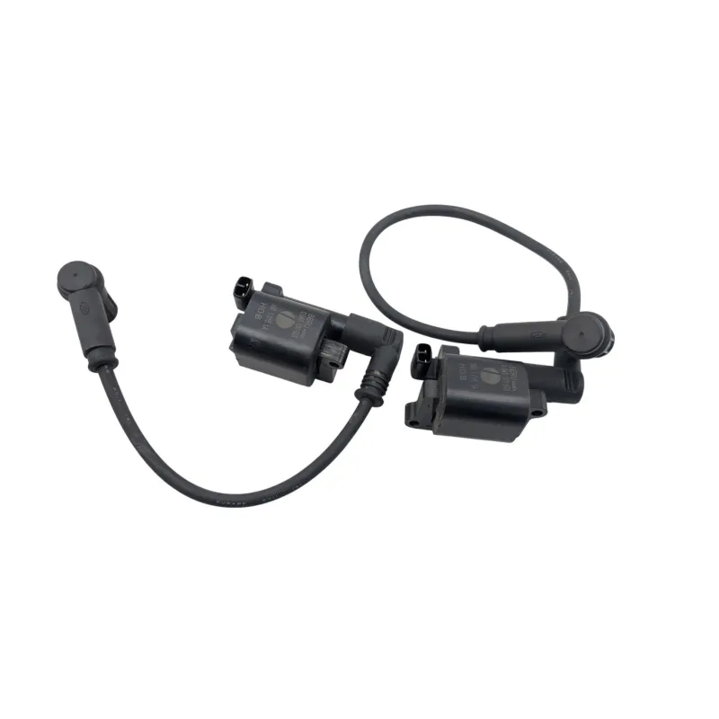 Bobine allumage DUCATI MONSTER 796 2010 - 2014