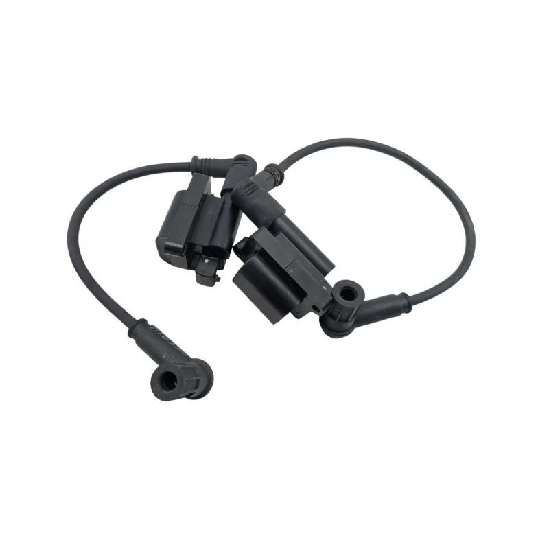 Bobine allumage DUCATI MONSTER 796 2010 - 2014