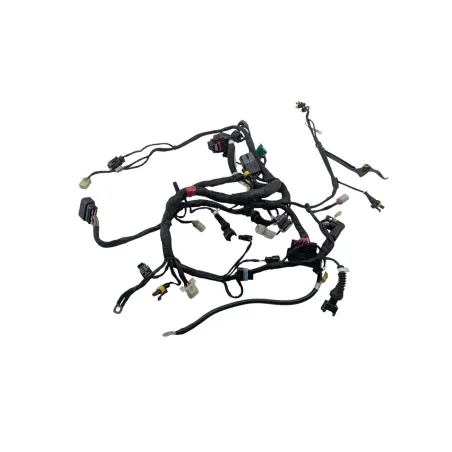 Faisceau electrique DUCATI MONSTER 796 2010 - 2014