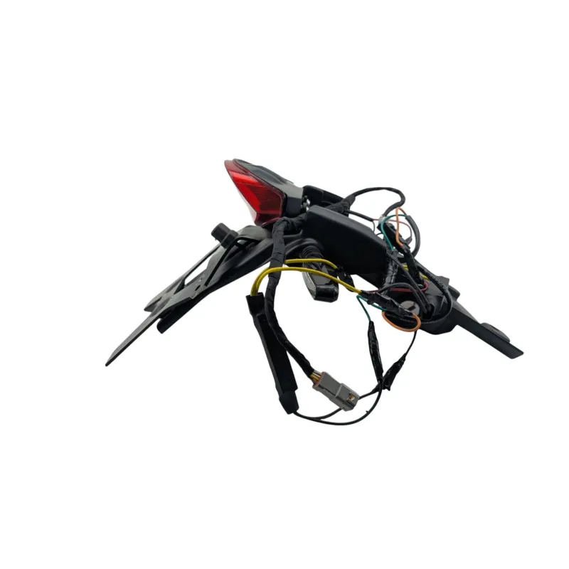 Support de plaque et eclairage DUCATI MONSTER 796 2010 - 2014