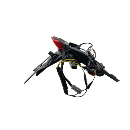 Support de plaque et eclairage DUCATI MONSTER 796 2010 - 2014