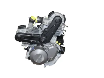 Moteur DUCATI MONSTER 796 2010 - 2014