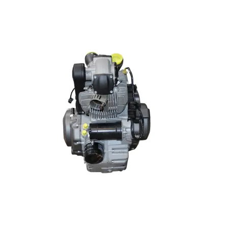 Moteur DUCATI MONSTER 796 2010 - 2014