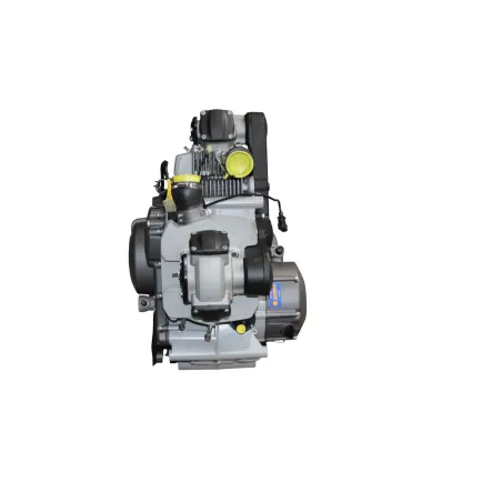 Moteur DUCATI MONSTER 796 2010 - 2014