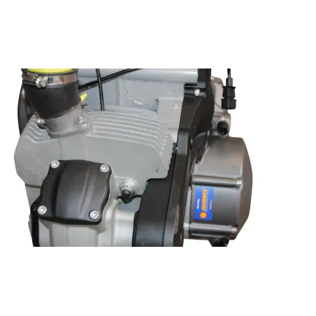 Moteur DUCATI MONSTER 796 2010 - 2014