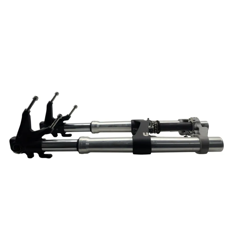 Fourche complete DUCATI MONSTER 796 2010 - 2014