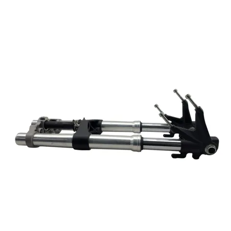 Fourche complete DUCATI MONSTER 796 2010 - 2014