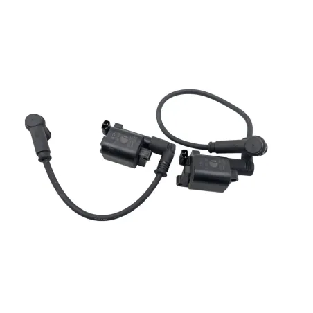 Bobine allumage DUCATI MONSTER 796 2010 - 2014
