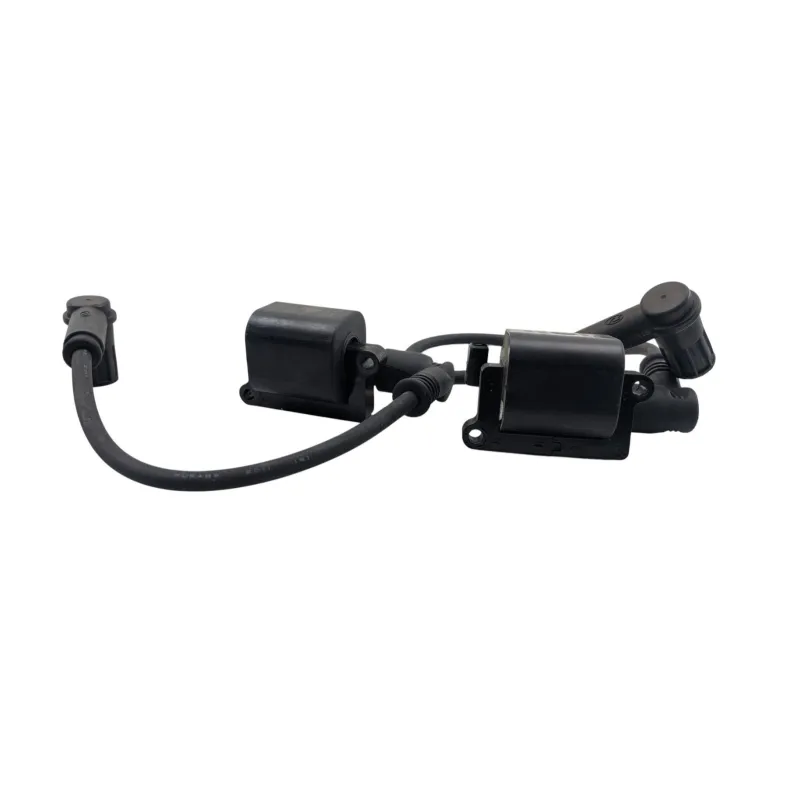 Bobine allumage DUCATI MONSTER 796 2010 - 2014