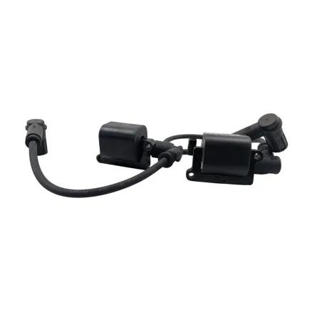 Bobine allumage DUCATI MONSTER 796 2010 - 2014