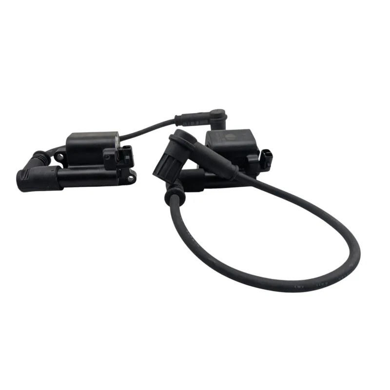 Bobine allumage DUCATI MONSTER 796 2010 - 2014