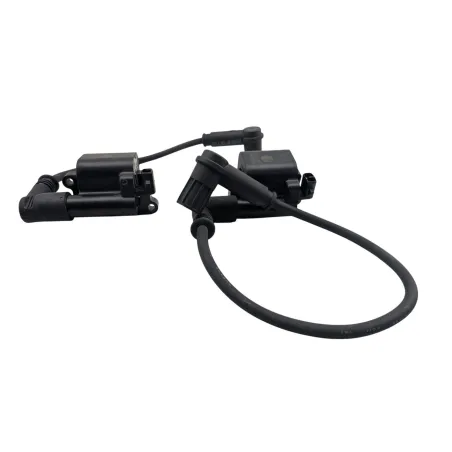 Bobine allumage DUCATI MONSTER 796 2010 - 2014