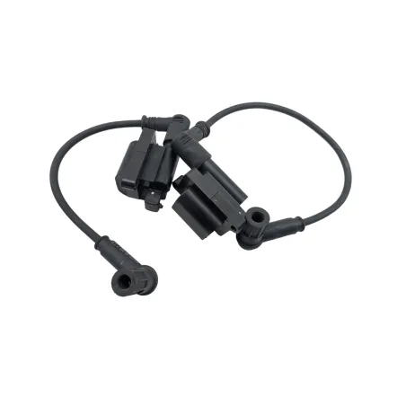 Bobine allumage DUCATI MONSTER 796 2010 - 2014