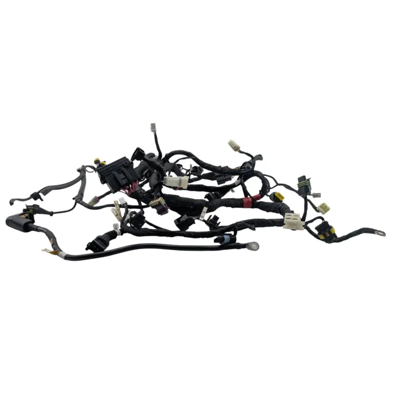 Faisceau electrique DUCATI MONSTER 796 2010 - 2014
