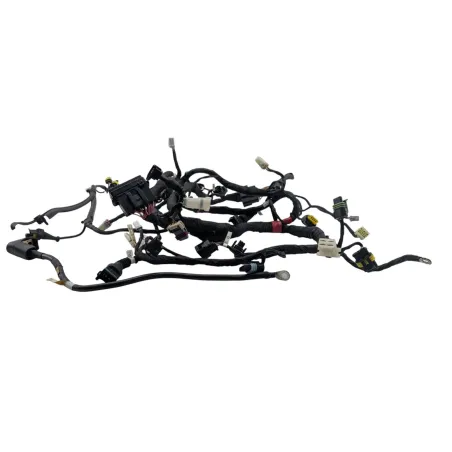 Faisceau electrique DUCATI MONSTER 796 2010 - 2014