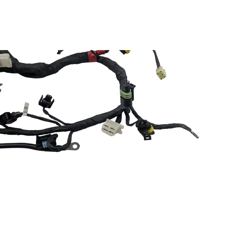 Faisceau electrique DUCATI MONSTER 796 2010 - 2014