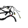 Faisceau electrique DUCATI MONSTER 796 2010 - 2014