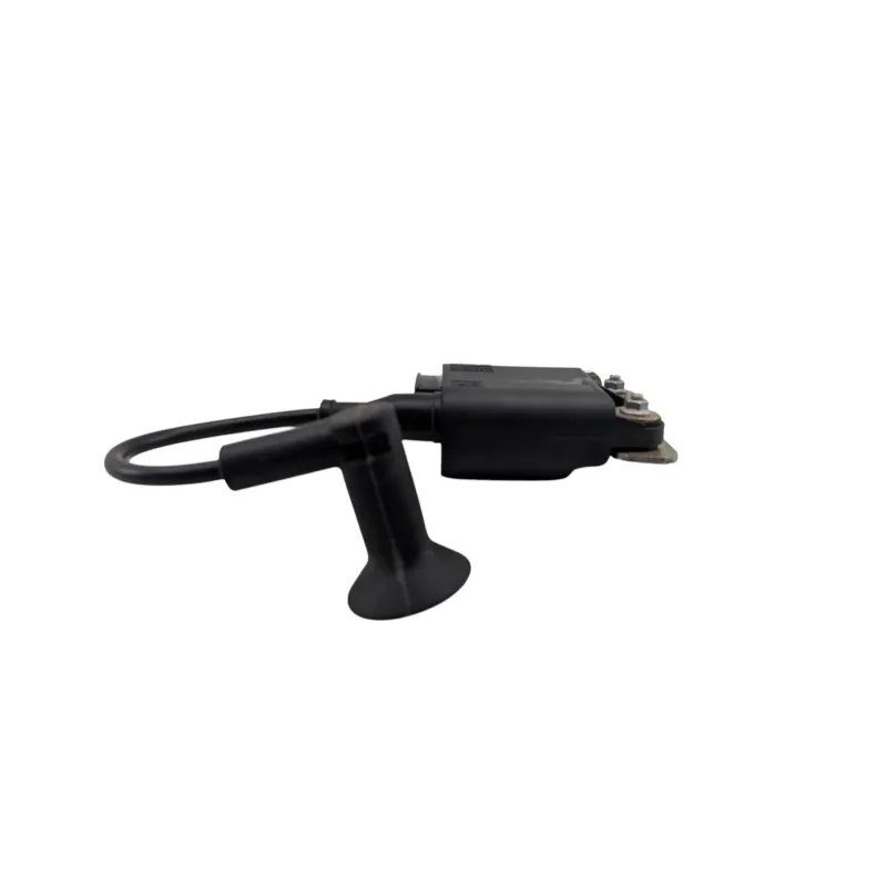 Boitier cdi PIAGGIO PRIMAVERA 50 2013 - 2017
